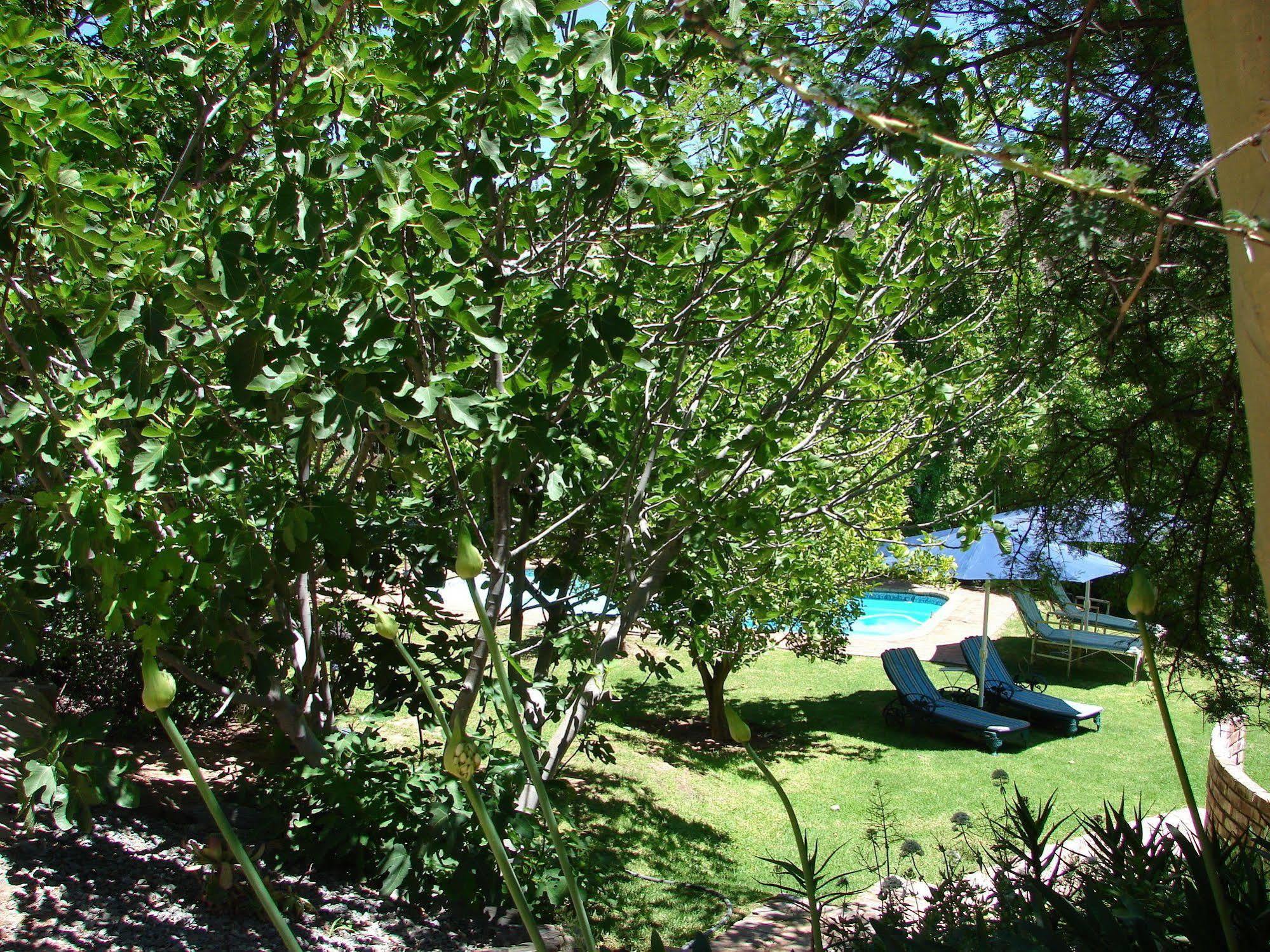 De Poort Country Lodge Oudtshoorn Exterior foto